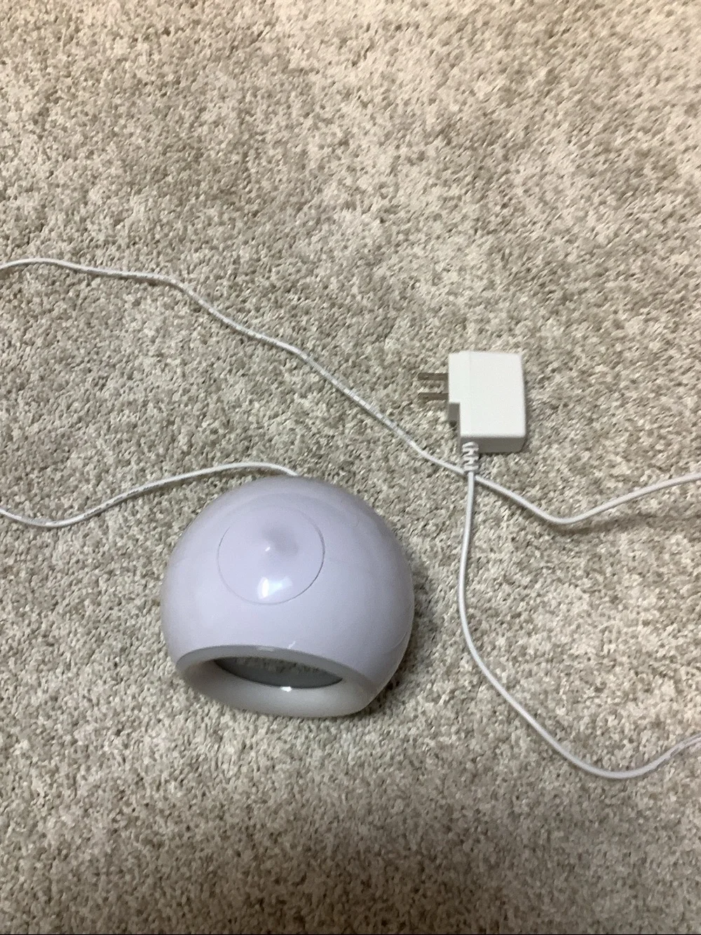 Little Hippo alarm clock - w/Plug